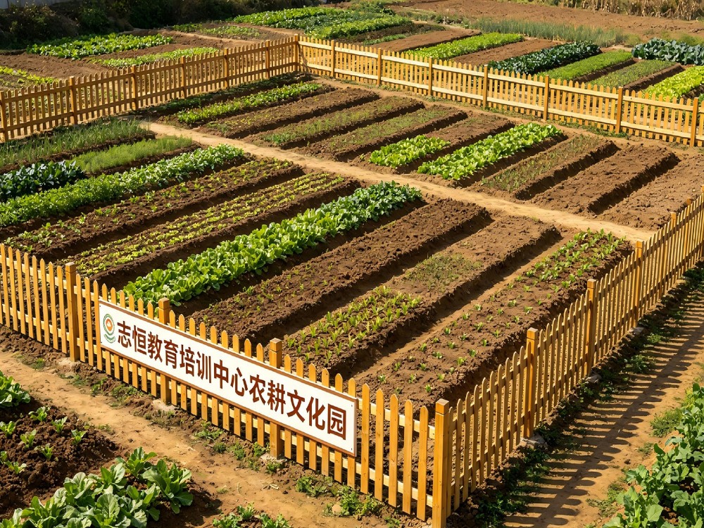 焦作叛逆期孩子全封闭教育学校具体位置解析