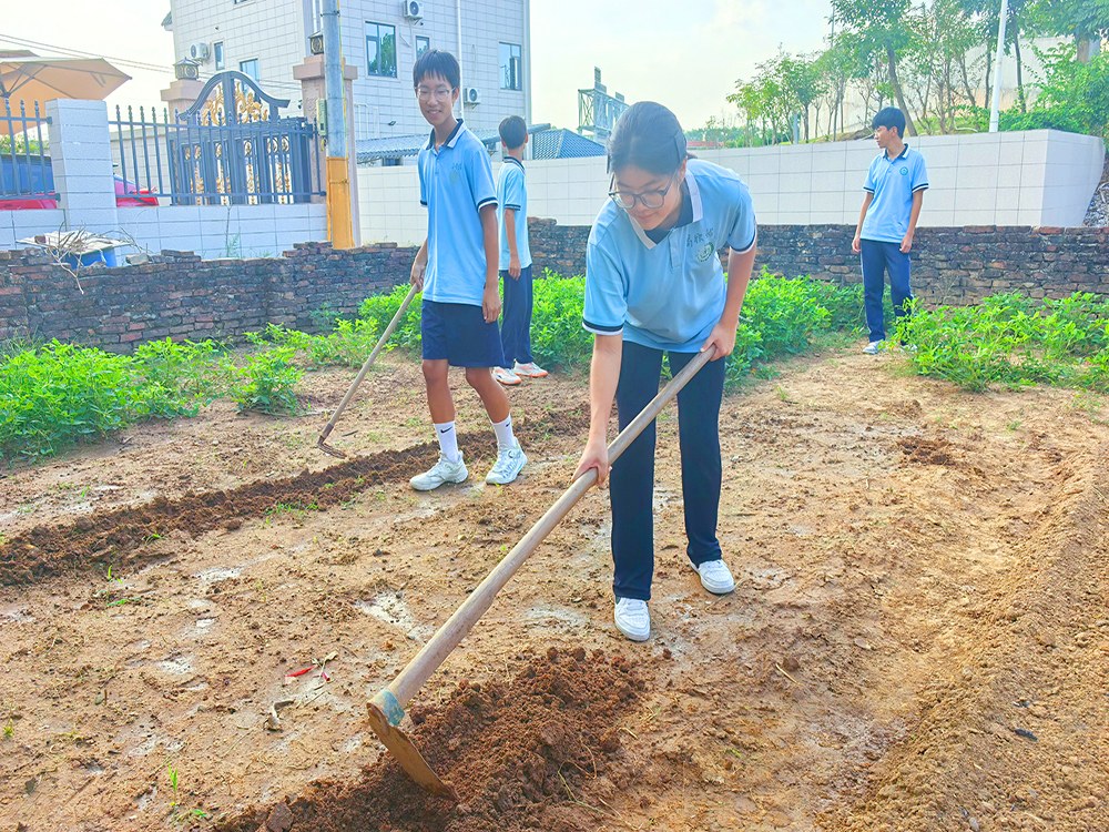 焦作叛逆期孩子教育学校位置与择校指南